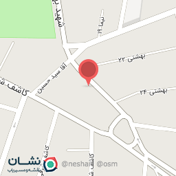 عکس کیف و کفش پانیذ