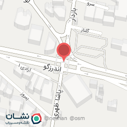 عکس دکتر صدیقه میمندی نیا