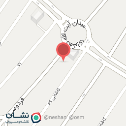 عکس چرم شوک