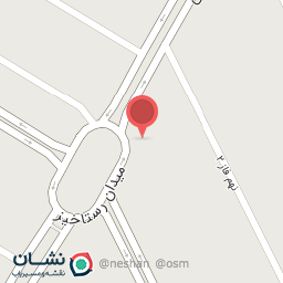 عکس اجیل و خشکبار امیرعلی