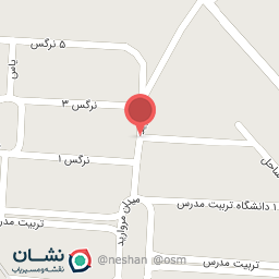 عکس فست فود تیدا