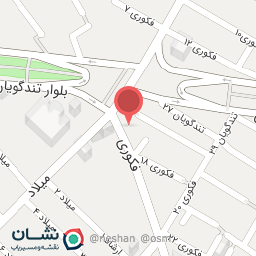 عکس مشاور املاک متین