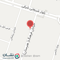 عکس دکتر مهرزاد ضرغامی