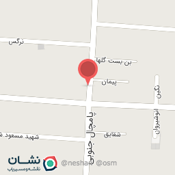 عکس خشکشویی دنا