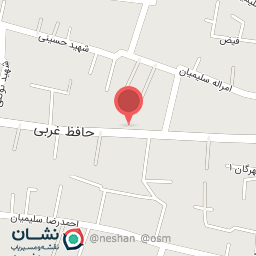 عکس الکتریکی سلیمیان