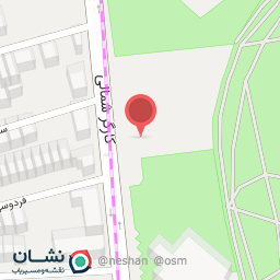 عکس محمد ایاضی