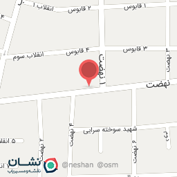 عکس مواد غذایی شاهینی