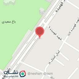 عکس تعمیرگاه تخصصی جلوبندی عراقی