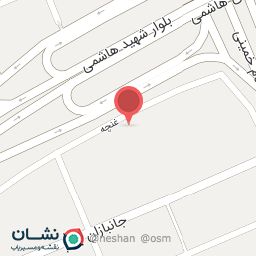 عکس سالن زیبایی ستیه بانو