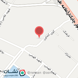 عکس غذای خانگی ریحان