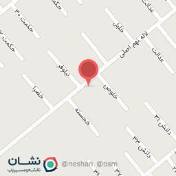 عکس مغازه لوازم شوینده و پاک 