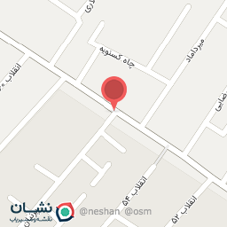 عکس پیتزا سعید