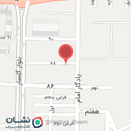 عکس دکتر فروغ ابراهیم نژاد