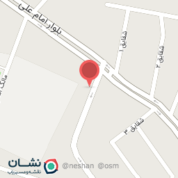 عکس کفش دی تودی