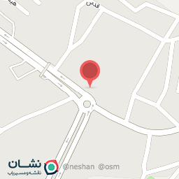 عکس تهیه غذای نیکور