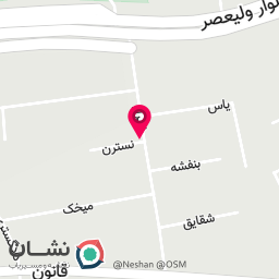 عکس دکتر ندا محمدپور