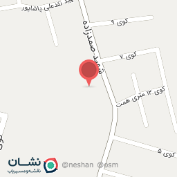 عکس باطری سازی شیرزاد