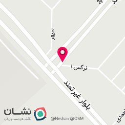 عکس نان ساجی