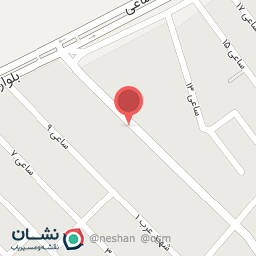 عکس کفش و کیف پانیکا