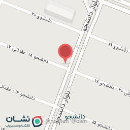 عکس دکتر نفیسه شایسته طاهری