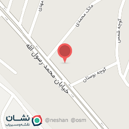 عکس مکانیکی محمد صادقی