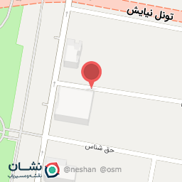 عکس پیتزا قیفی کاکتوس