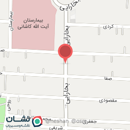 عکس شوینده بهداشتی همتی