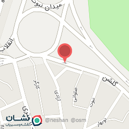 عکس لاستیک زارع