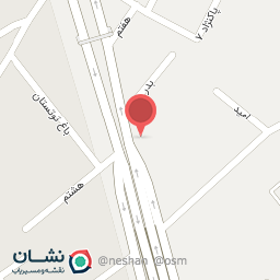 عکس چرم طبیعی و طبی حامی