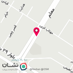 عکس پیتزا راوی