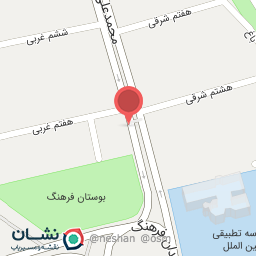 عکس دکتر سید محمود سید علاقه بند