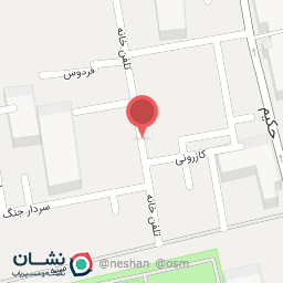 عکس کفش پاراد