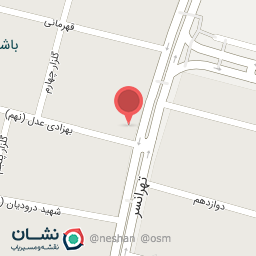 عکس غذای خانگی تودلی