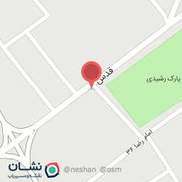 عکس تراشکاری رکورد برادران منوچهری