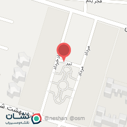 عکس پیتزا دارت شعبه پونک