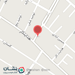 عکس فست فود شایان