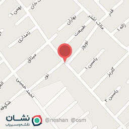 عکس هیئت معظم خادمین العباس