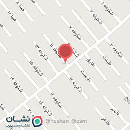 عکس کیف و کفش آراد 