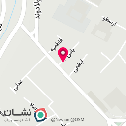 عکس فیشال کارینو