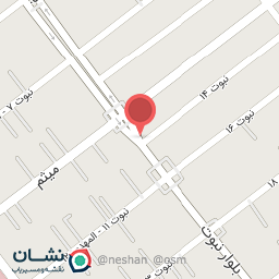 عکس مرغ و پاچین