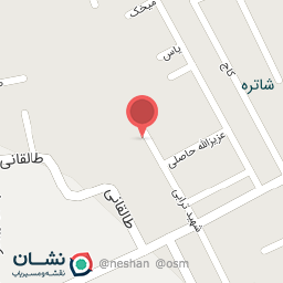 عکس روشا تین