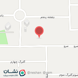 عکس پیتزا بیتا