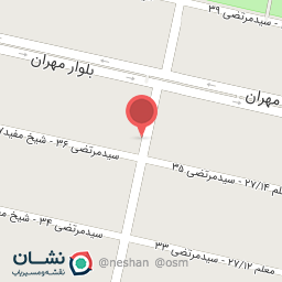 عکس هلدینگ اریانا ملل