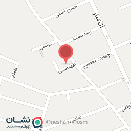 عکس پیتزا سالامی