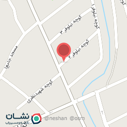 عکس مواد غذایی ناصرپور 