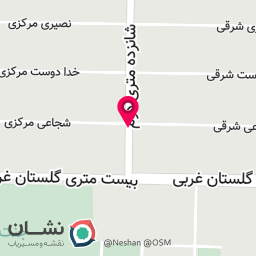 عکس عکاسی نخل 