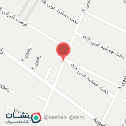 عکس کیف و کفش نیلما