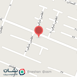 عکس گوشت و مرغ محسن