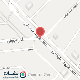 عکس پیتزا و ساندویچ زیتون