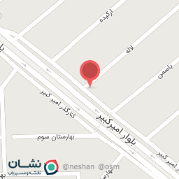 عکس ممتازسرویس